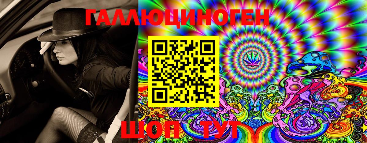 Псилоцибиновые грибы GOLDEN TEACHER Семёнов