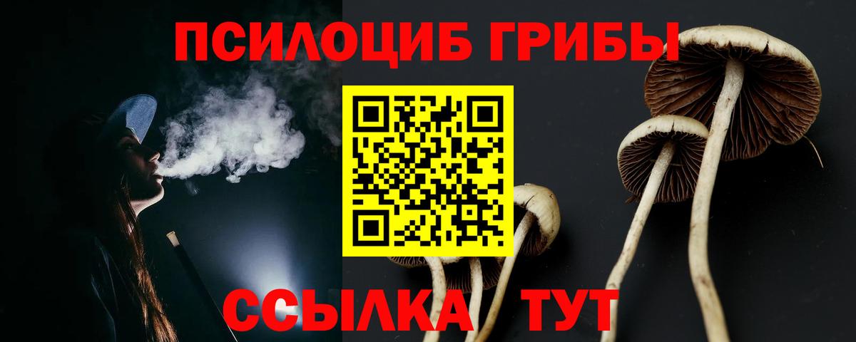 сколько стоит  Галлюциногенные грибы Magic Shrooms  Галлюциногенные грибы GOLDEN TEACHER  Вход с VPN  Семёнов 